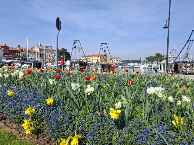 Jučer sunce, danas kiša, pa opet ispočetka…priroda puna života!